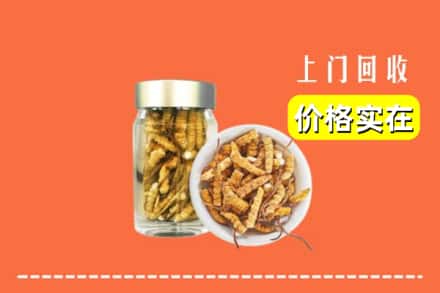收购资讯:东莞寮步镇回收散虫草