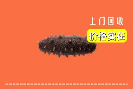 收购资讯:东莞寮步镇回收海参